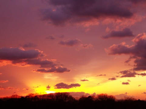 葬式でのストッキングの選び方 着用マナー 終活ライブラリー